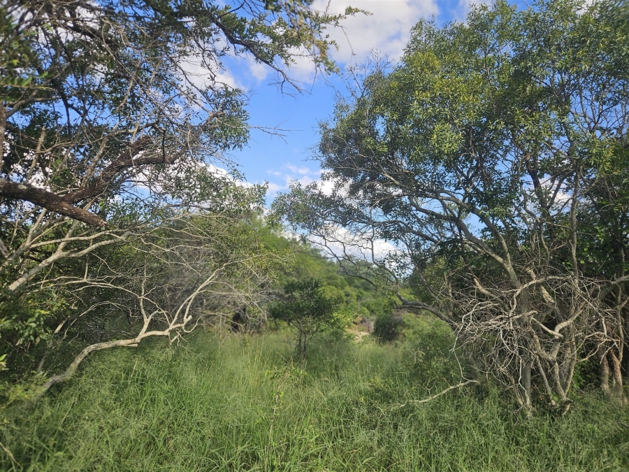 0 Bedroom Property for Sale in Moditlo Wildlife Estate Limpopo