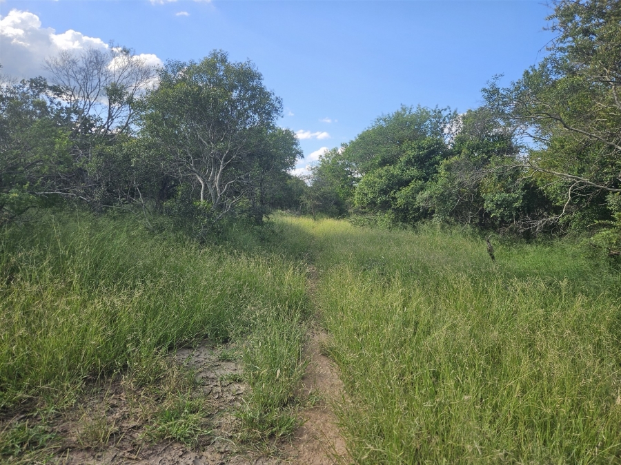 0 Bedroom Property for Sale in Moditlo Wildlife Estate Limpopo