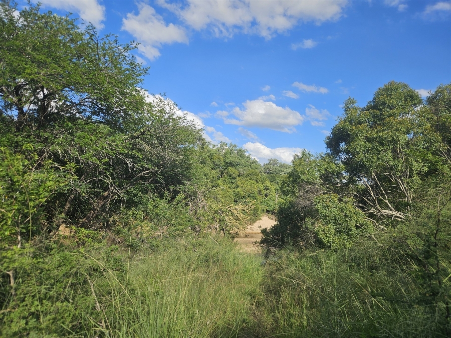 0 Bedroom Property for Sale in Moditlo Wildlife Estate Limpopo