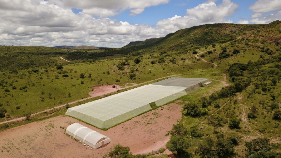 23 Bedroom Property for Sale in Bela Bela Limpopo