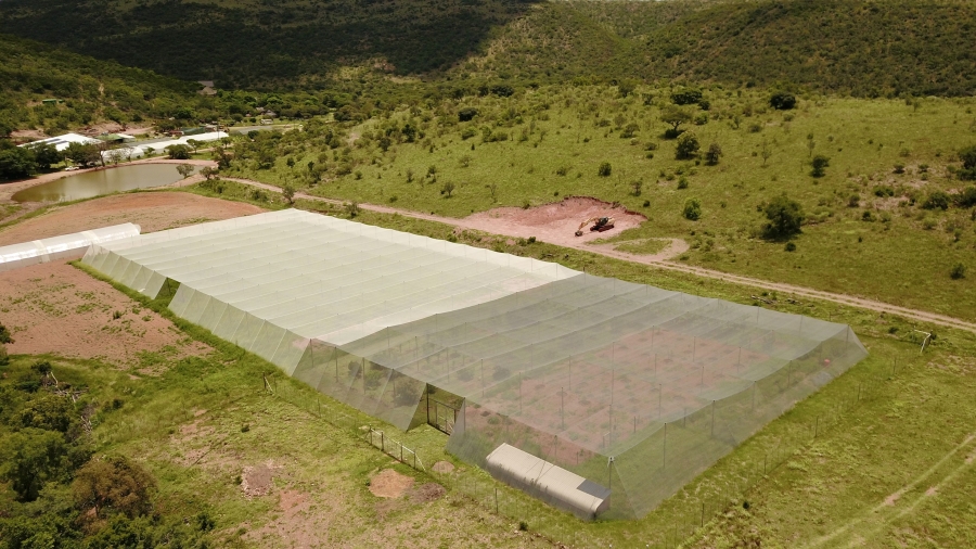 23 Bedroom Property for Sale in Bela Bela Limpopo