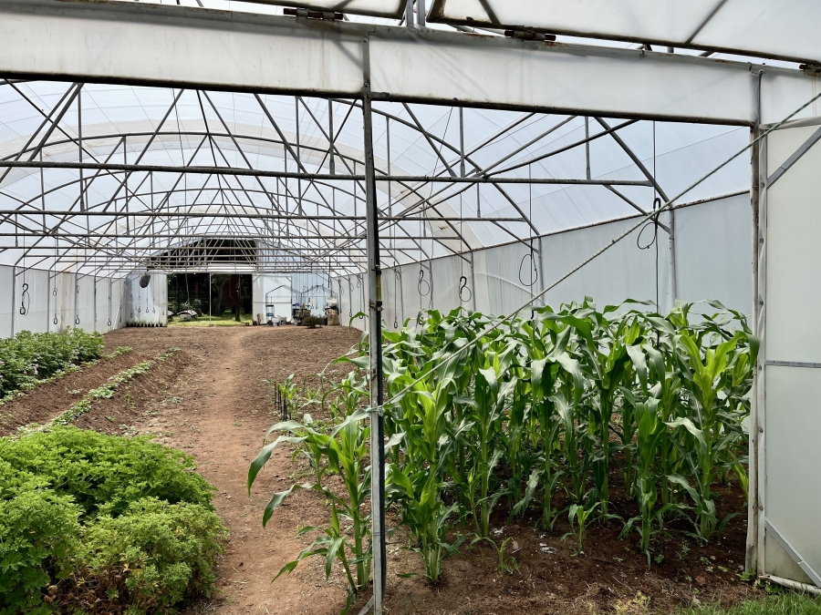 23 Bedroom Property for Sale in Bela Bela Limpopo