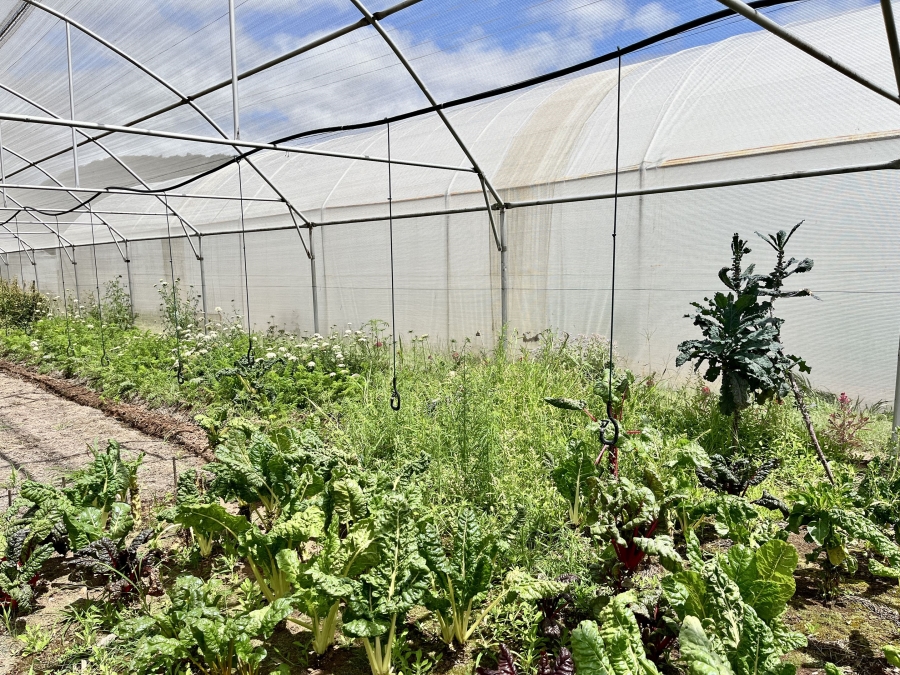 23 Bedroom Property for Sale in Bela Bela Limpopo