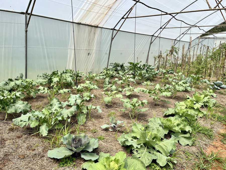 23 Bedroom Property for Sale in Bela Bela Limpopo