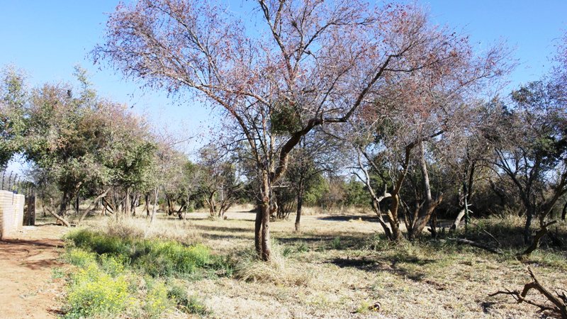 0 Bedroom Property for Sale in Bela Bela Limpopo