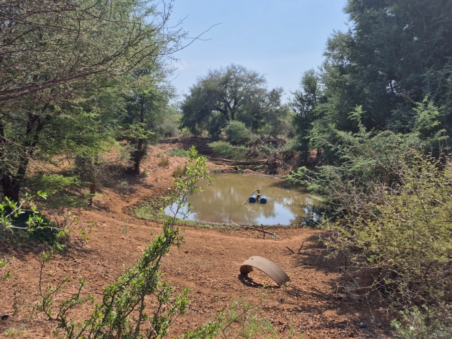 5 Bedroom Property for Sale in Tom Burke Limpopo