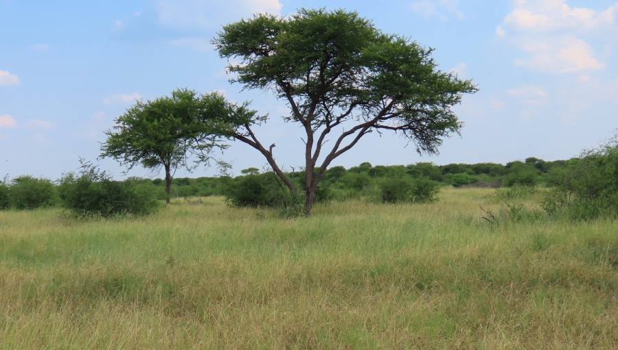 6 Bedroom Property for Sale in Dwaalboom Limpopo