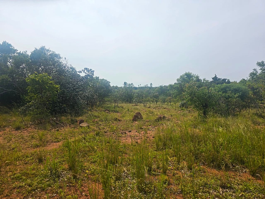 0 Bedroom Property for Sale in Bela Bela Limpopo