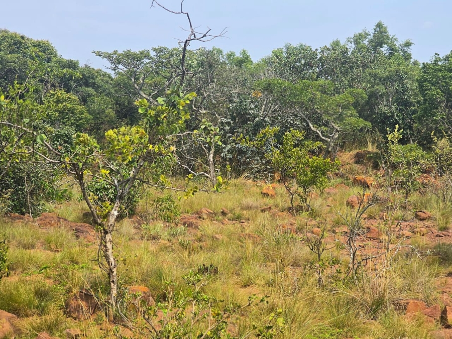 0 Bedroom Property for Sale in Bela Bela Limpopo