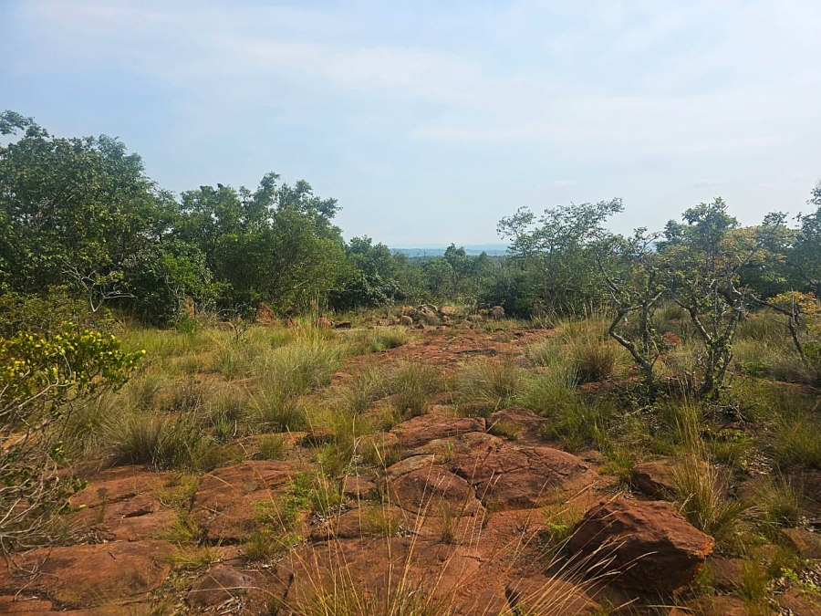 0 Bedroom Property for Sale in Bela Bela Limpopo