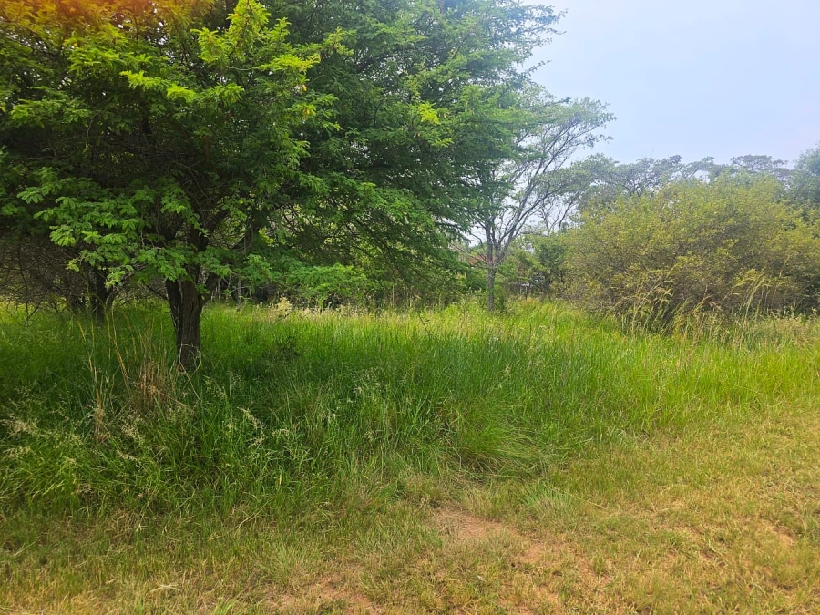 0 Bedroom Property for Sale in Modimolle Limpopo