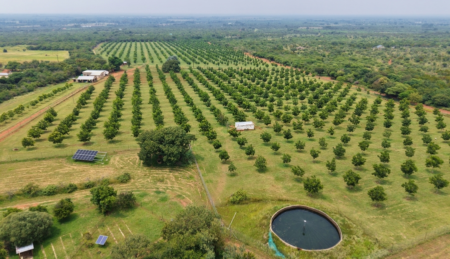 5 Bedroom Property for Sale in Bela Bela Limpopo