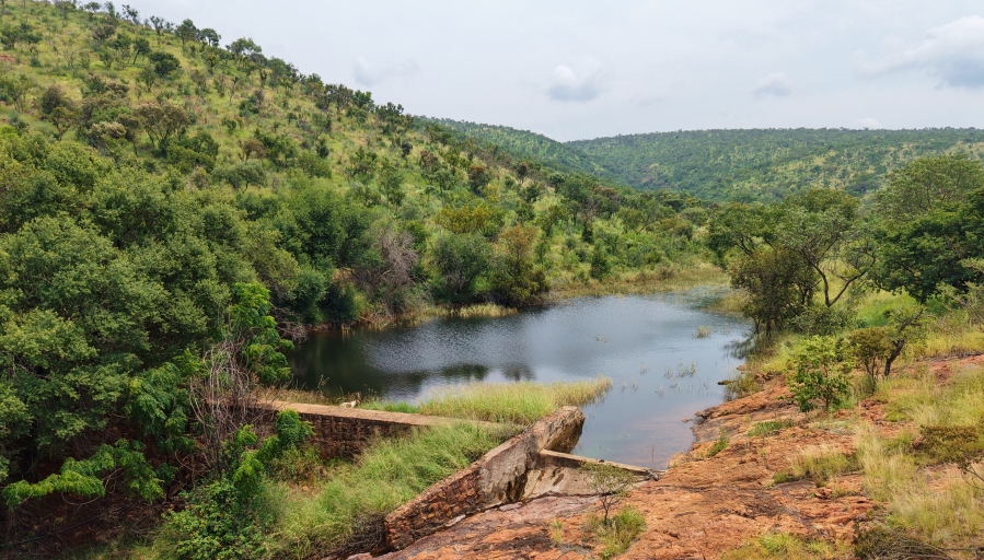 5 Bedroom Property for Sale in Bela Bela Limpopo