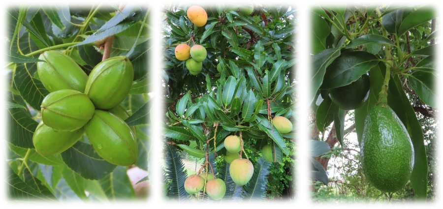 5 Bedroom Property for Sale in Bela Bela Limpopo