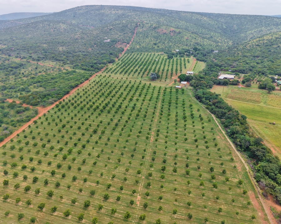 5 Bedroom Property for Sale in Bela Bela Limpopo