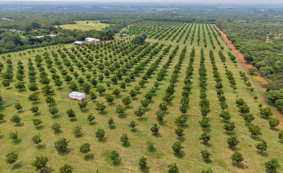 5 Bedroom Property for Sale in Bela Bela Limpopo