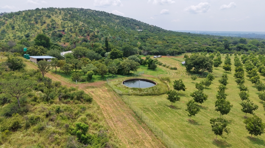 5 Bedroom Property for Sale in Bela Bela Limpopo