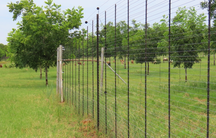 5 Bedroom Property for Sale in Bela Bela Limpopo