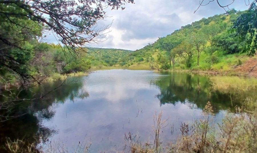 5 Bedroom Property for Sale in Bela Bela Limpopo