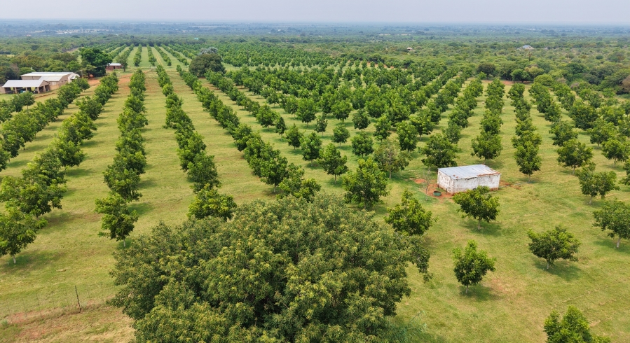 5 Bedroom Property for Sale in Bela Bela Limpopo