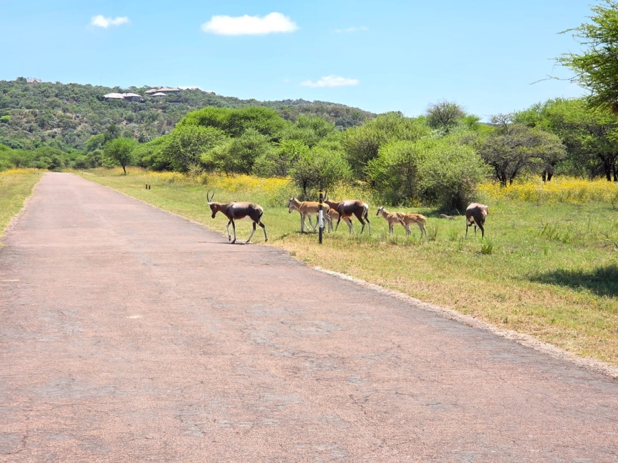 0 Bedroom Property for Sale in Intaba Indle Wilderness Estate Limpopo