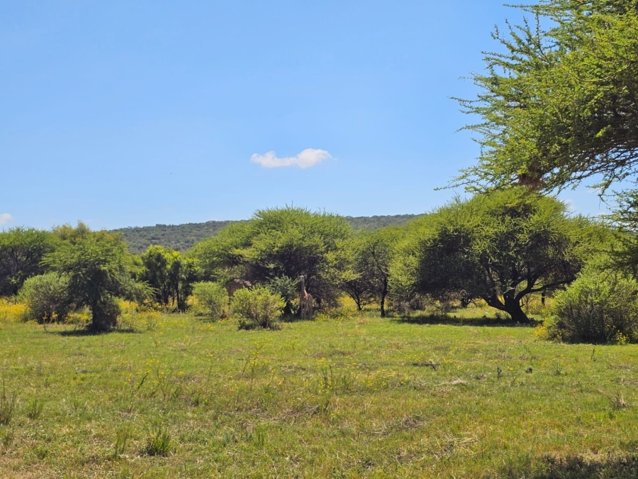 0 Bedroom Property for Sale in Intaba Indle Wilderness Estate Limpopo