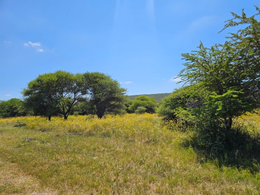 0 Bedroom Property for Sale in Intaba Indle Wilderness Estate Limpopo