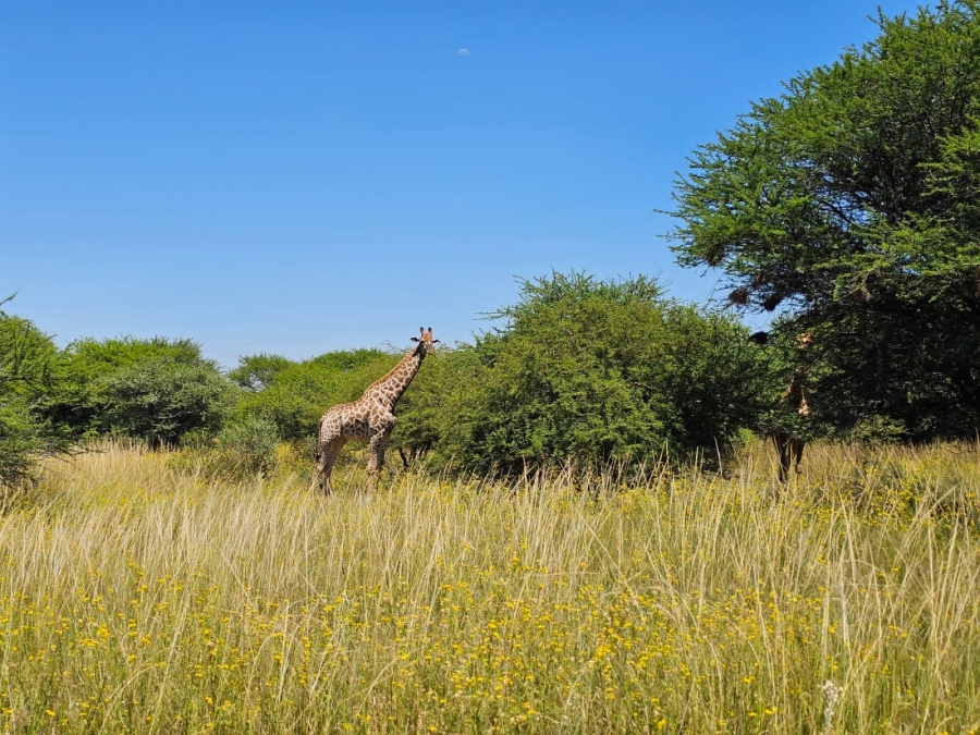 0 Bedroom Property for Sale in Intaba Indle Wilderness Estate Limpopo