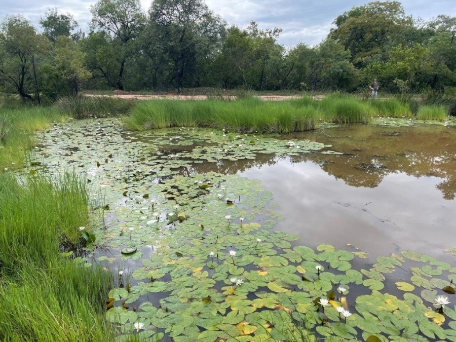 0 Bedroom Property for Sale in Verloren Estate Limpopo