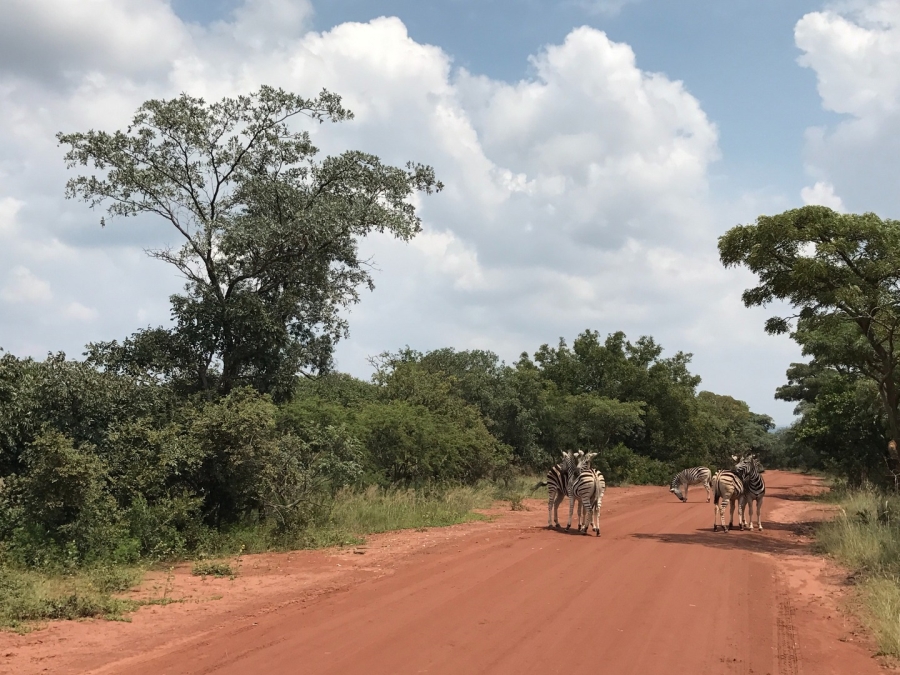 0 Bedroom Property for Sale in Verloren Estate Limpopo