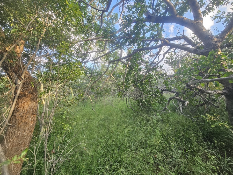 0 Bedroom Property for Sale in Moditlo Wildlife Estate Limpopo