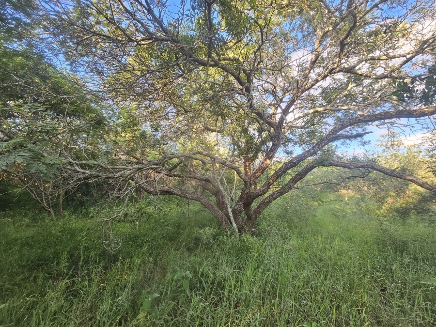 0 Bedroom Property for Sale in Moditlo Wildlife Estate Limpopo