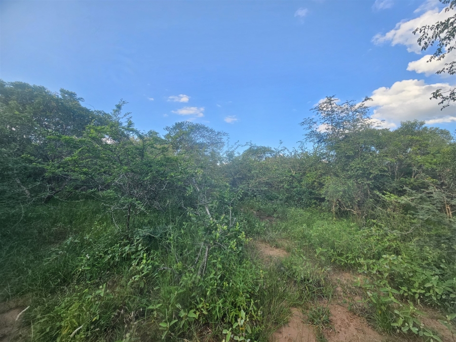 0 Bedroom Property for Sale in Moditlo Wildlife Estate Limpopo