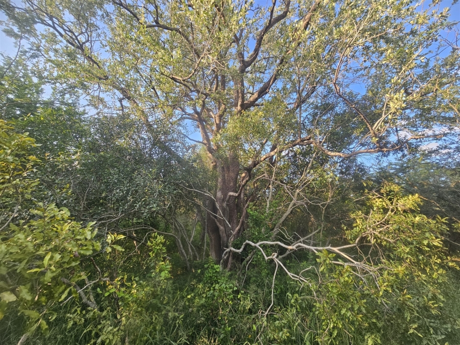 0 Bedroom Property for Sale in Moditlo Wildlife Estate Limpopo