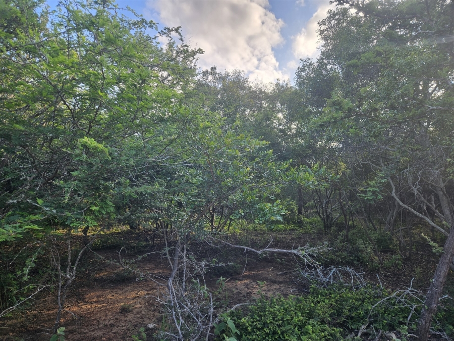 0 Bedroom Property for Sale in Moditlo Wildlife Estate Limpopo