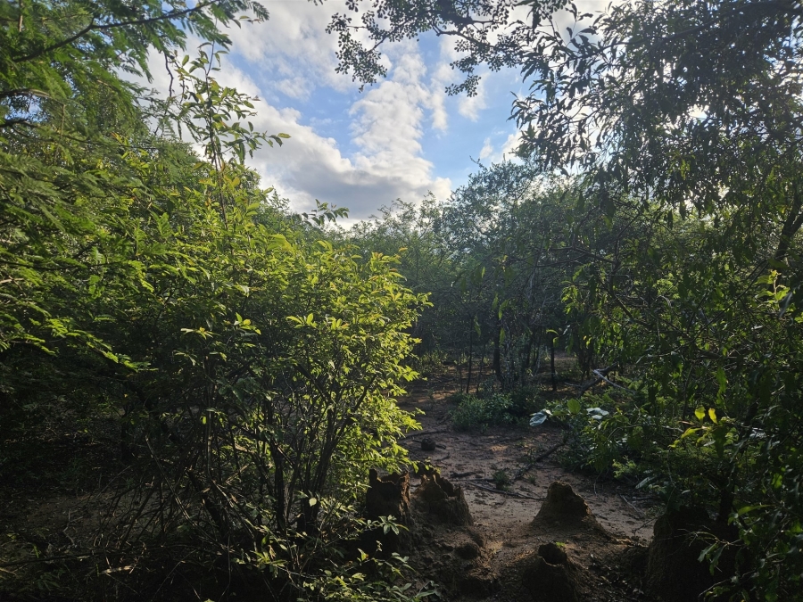 0 Bedroom Property for Sale in Moditlo Wildlife Estate Limpopo