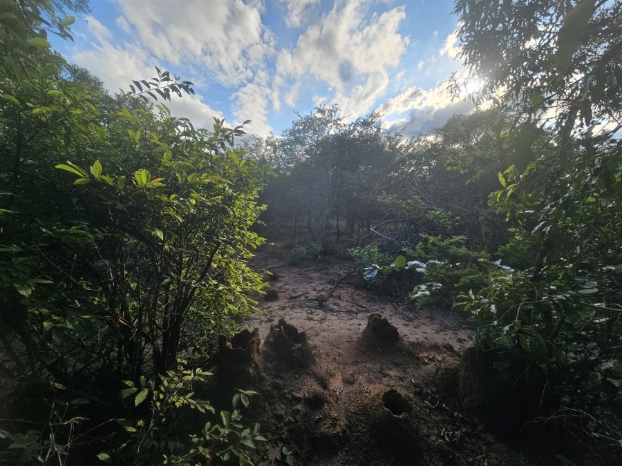 0 Bedroom Property for Sale in Moditlo Wildlife Estate Limpopo