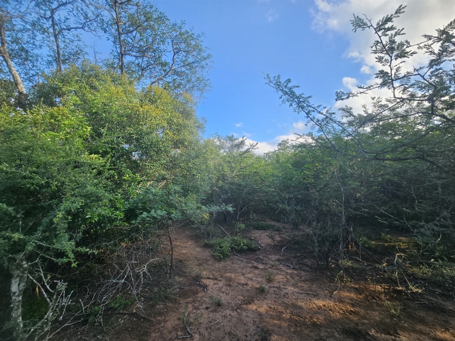 0 Bedroom Property for Sale in Moditlo Wildlife Estate Limpopo