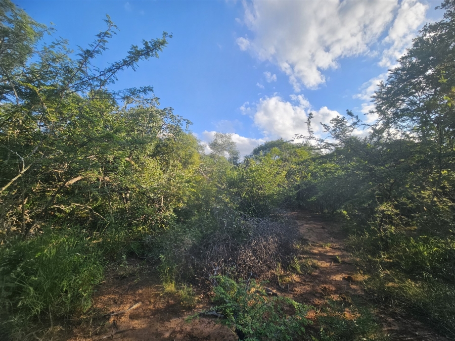 0 Bedroom Property for Sale in Moditlo Wildlife Estate Limpopo