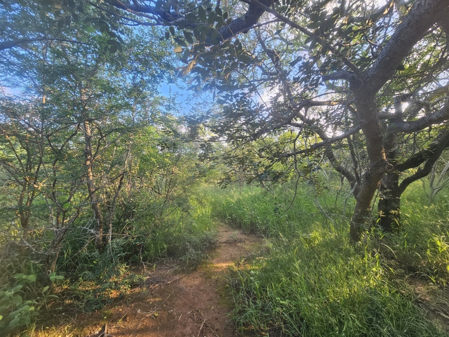 0 Bedroom Property for Sale in Moditlo Wildlife Estate Limpopo