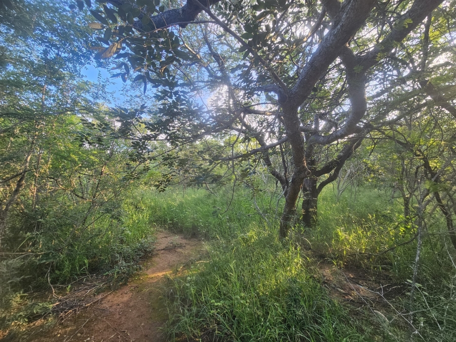 0 Bedroom Property for Sale in Moditlo Wildlife Estate Limpopo