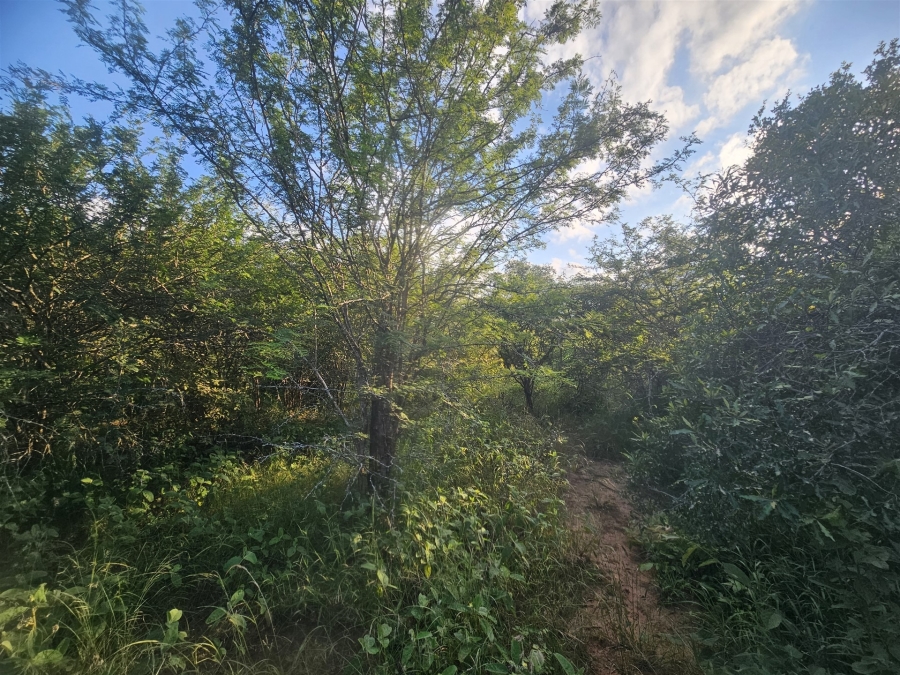 0 Bedroom Property for Sale in Moditlo Wildlife Estate Limpopo