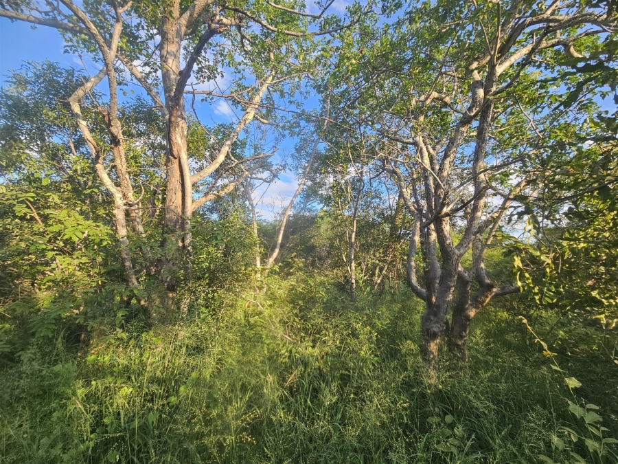 0 Bedroom Property for Sale in Moditlo Wildlife Estate Limpopo