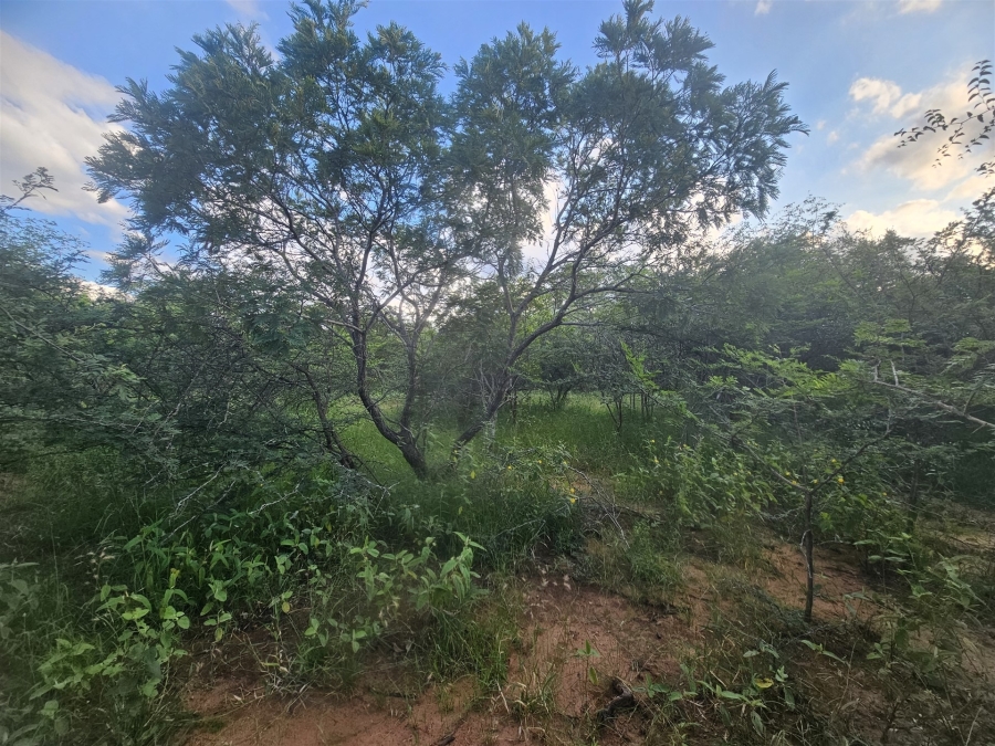 0 Bedroom Property for Sale in Moditlo Wildlife Estate Limpopo