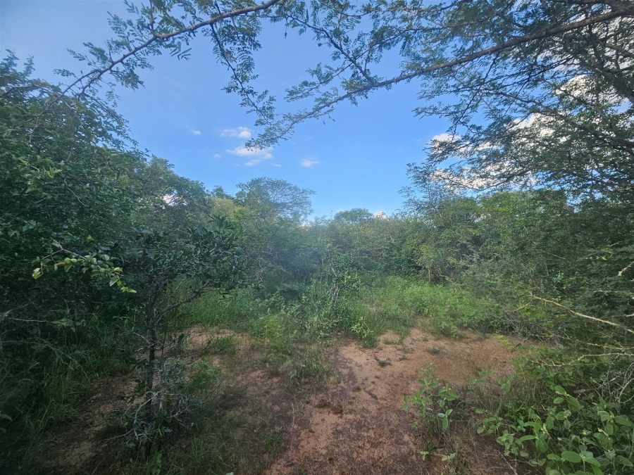 0 Bedroom Property for Sale in Moditlo Wildlife Estate Limpopo