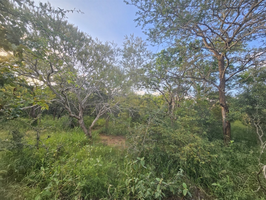 0 Bedroom Property for Sale in Moditlo Wildlife Estate Limpopo