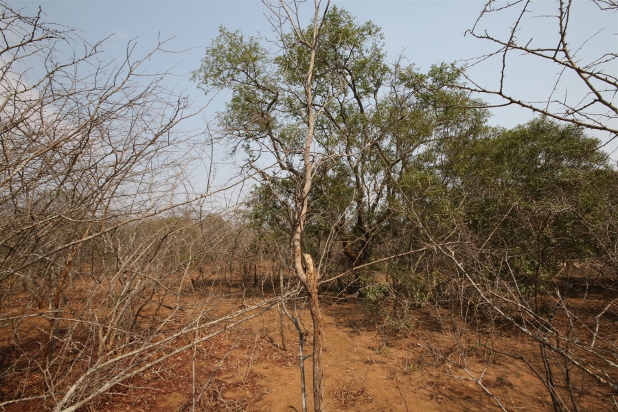 0 Bedroom Property for Sale in Moditlo Wildlife Estate Limpopo