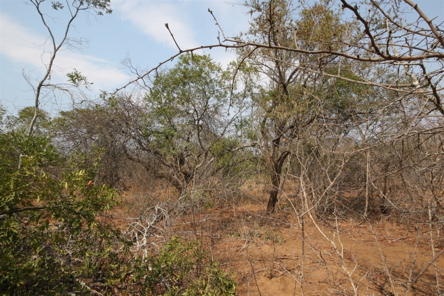 0 Bedroom Property for Sale in Moditlo Wildlife Estate Limpopo