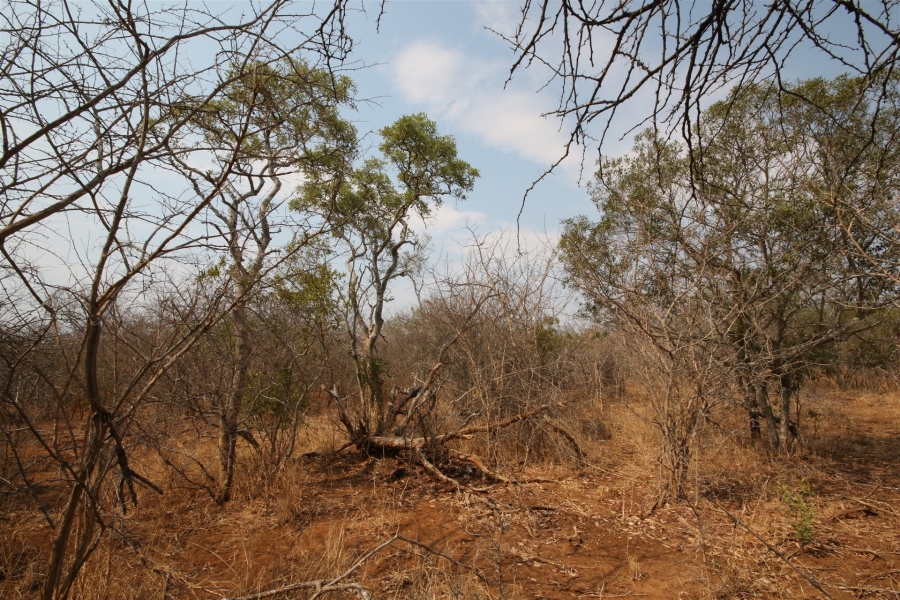 0 Bedroom Property for Sale in Moditlo Wildlife Estate Limpopo