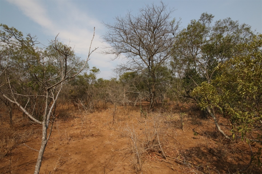 0 Bedroom Property for Sale in Moditlo Wildlife Estate Limpopo